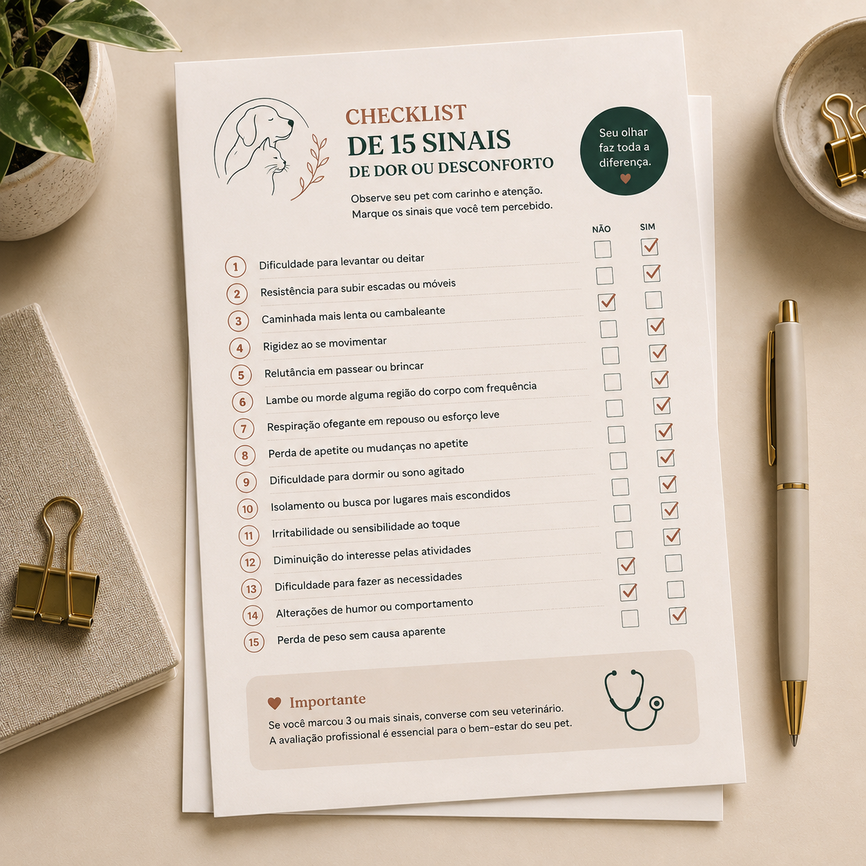 Checklist de 15 Sinais de Dor ou Desconforto