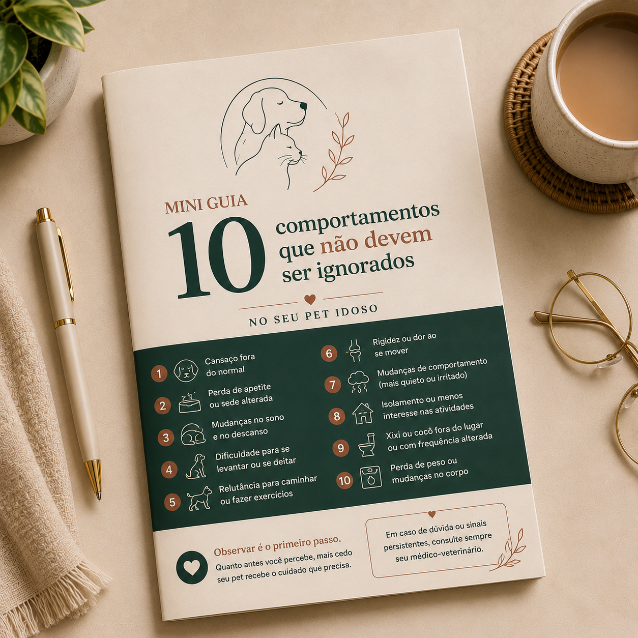 Mini Guia — 10 Comportamentos que Não Devem Ser Ignorados